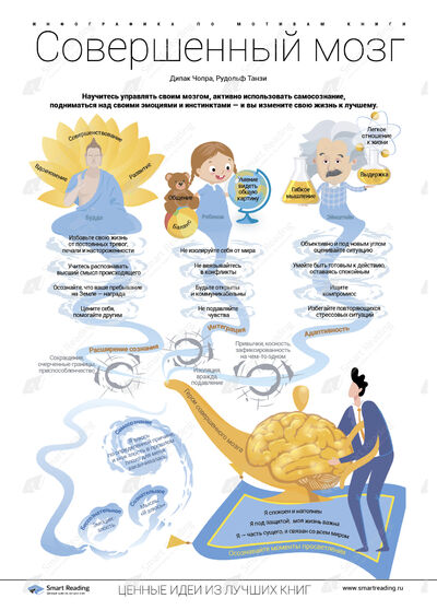 Инфографика для книги «Супермозг»