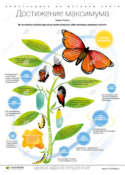Инфографика для книги «Достижение максимума»