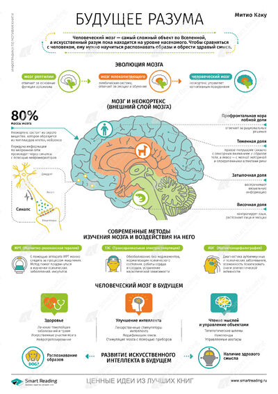 Инфографика для книги «Будущее разума»