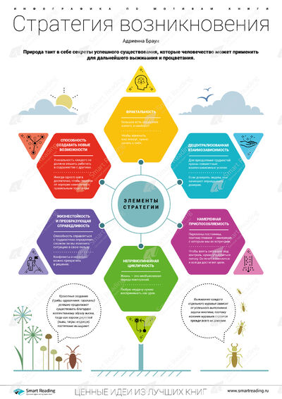 Инфографика для книги «Стратегия возникновения»